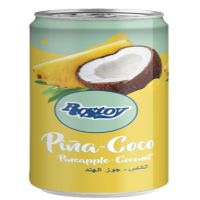 JGC LATA ROSTOY PIÑA COCO 0.33L. 12p.
