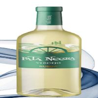 JGC PATA NEGRA RUEDA VERDEJO 3/4 6p.
