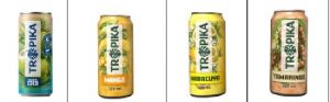 IBE AGUA DE COC, MANG, MARACU Y TAMARIN 320Ml. 12p.